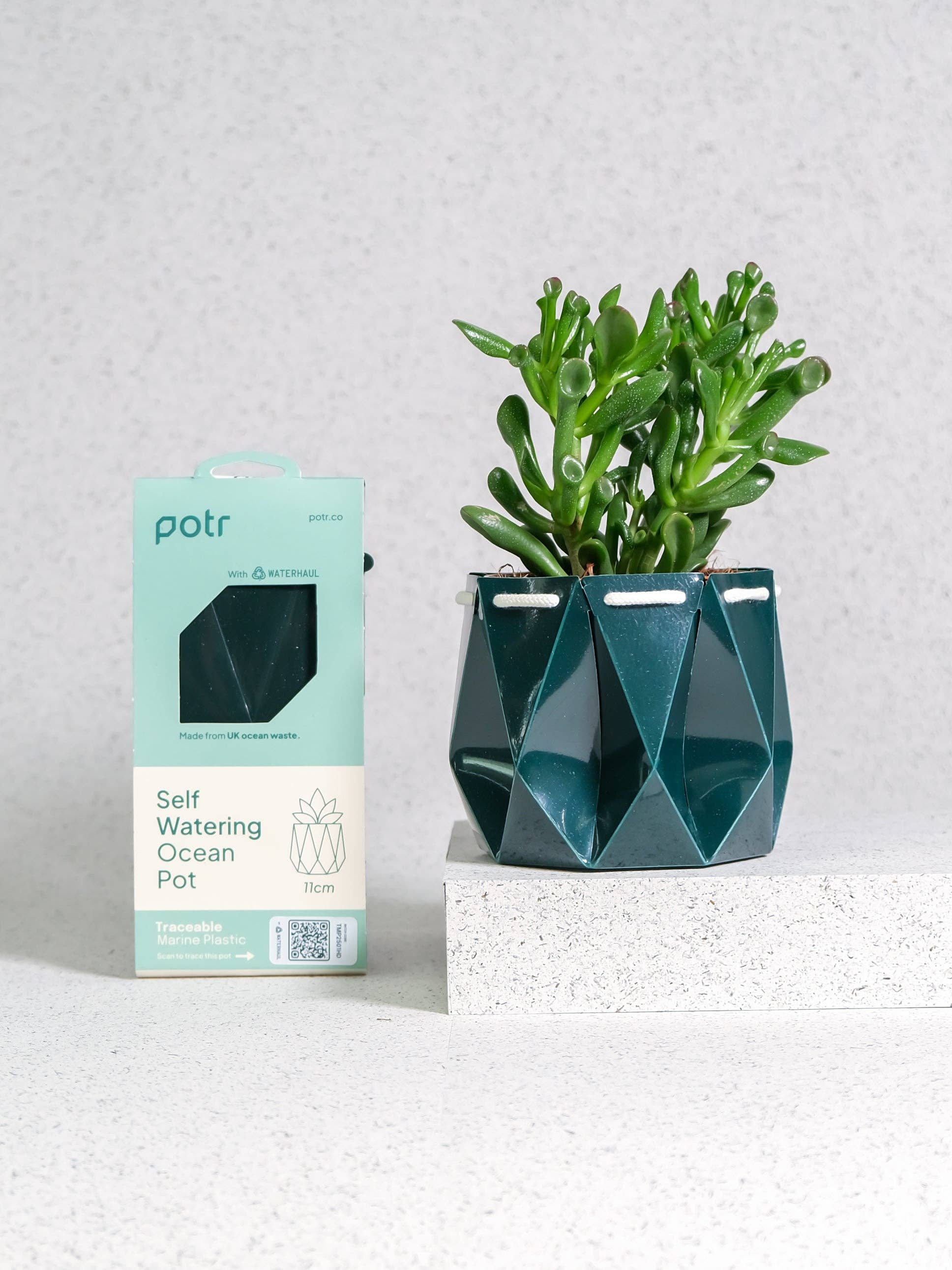 11cm Self-watering Ocean Pot | Deep Green - Image 3