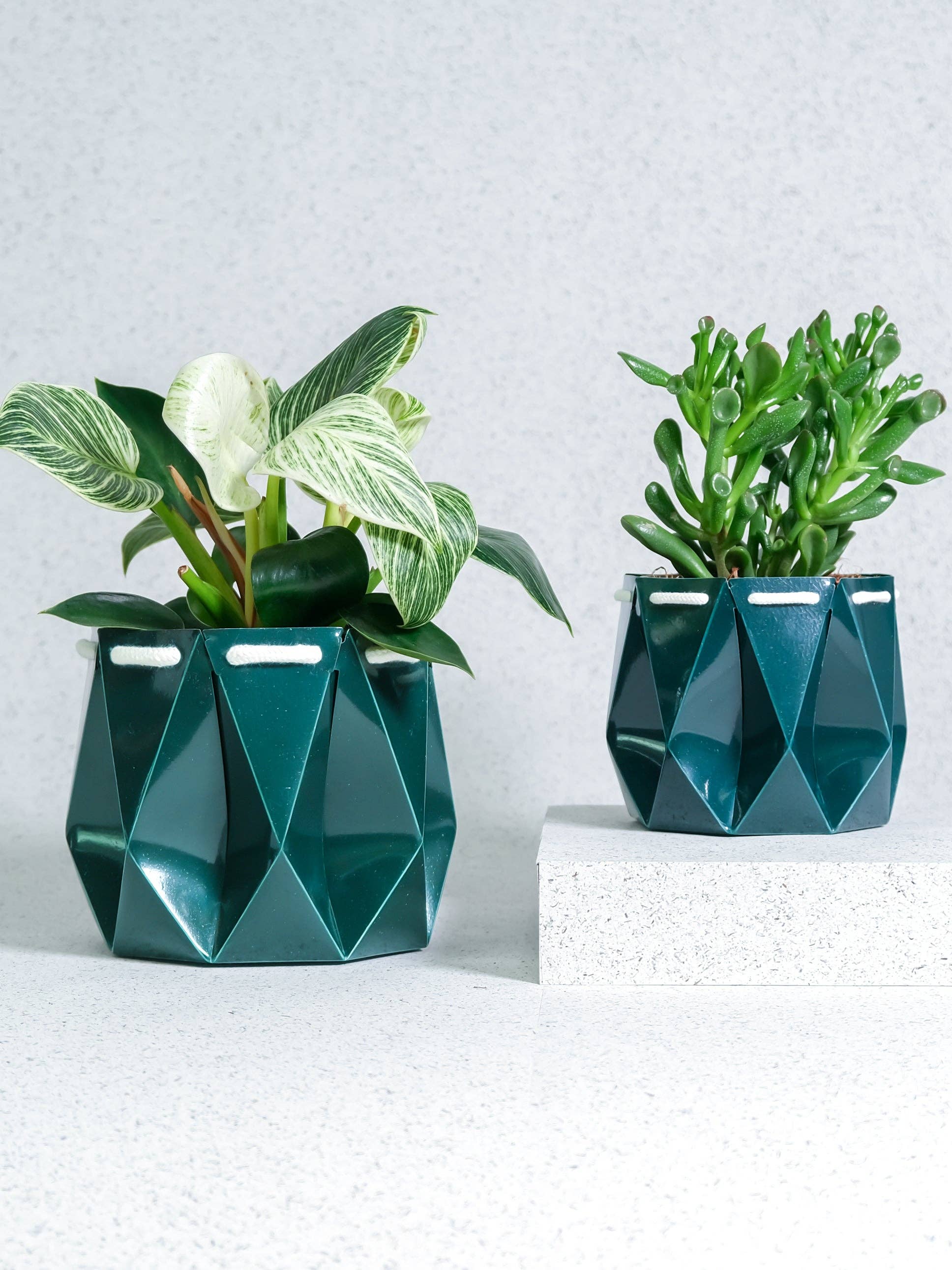 11cm Self-watering Ocean Pot | Deep Green - Image 4