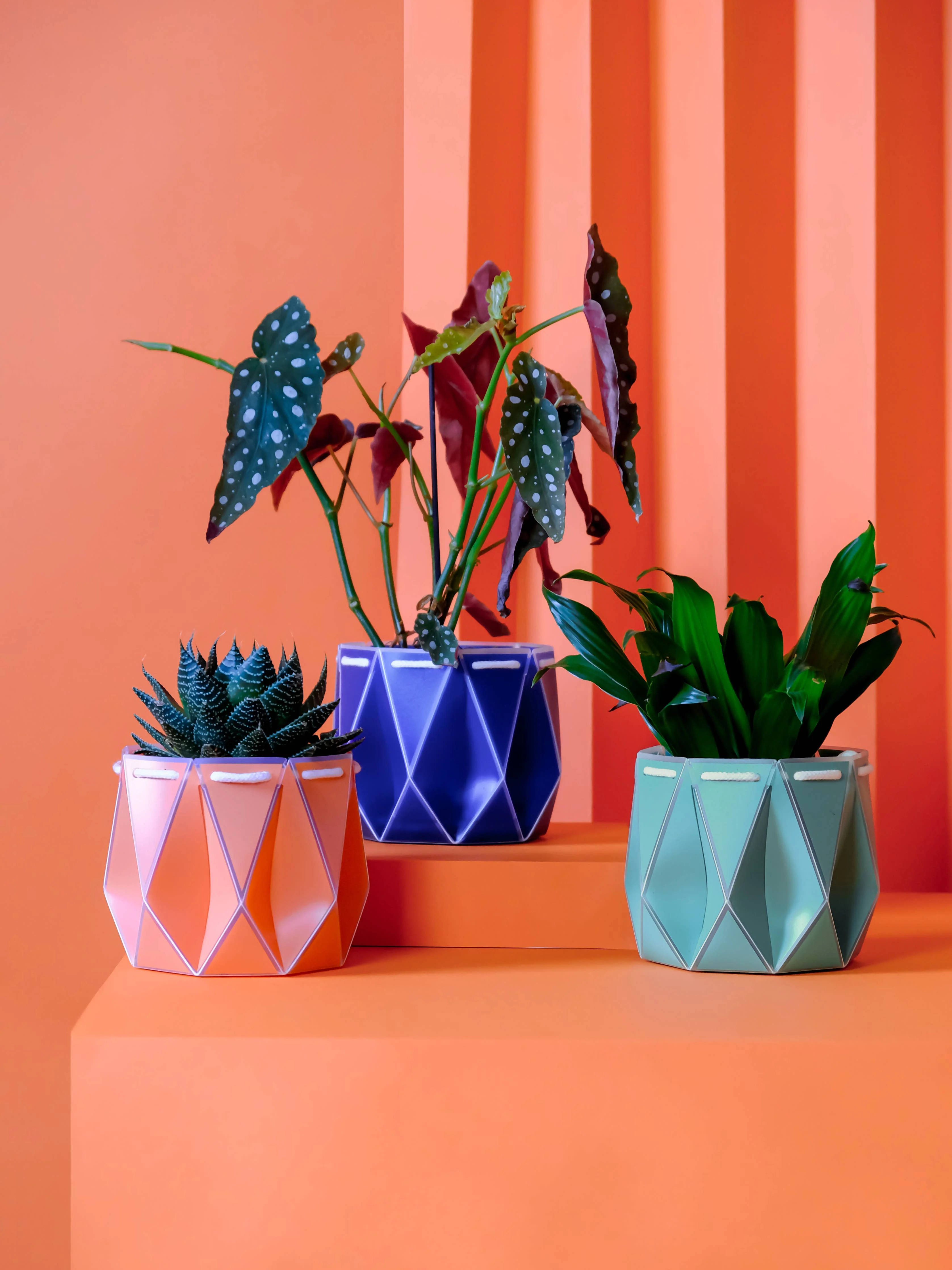 11cm Self-watering POTR | Coral - Image 4