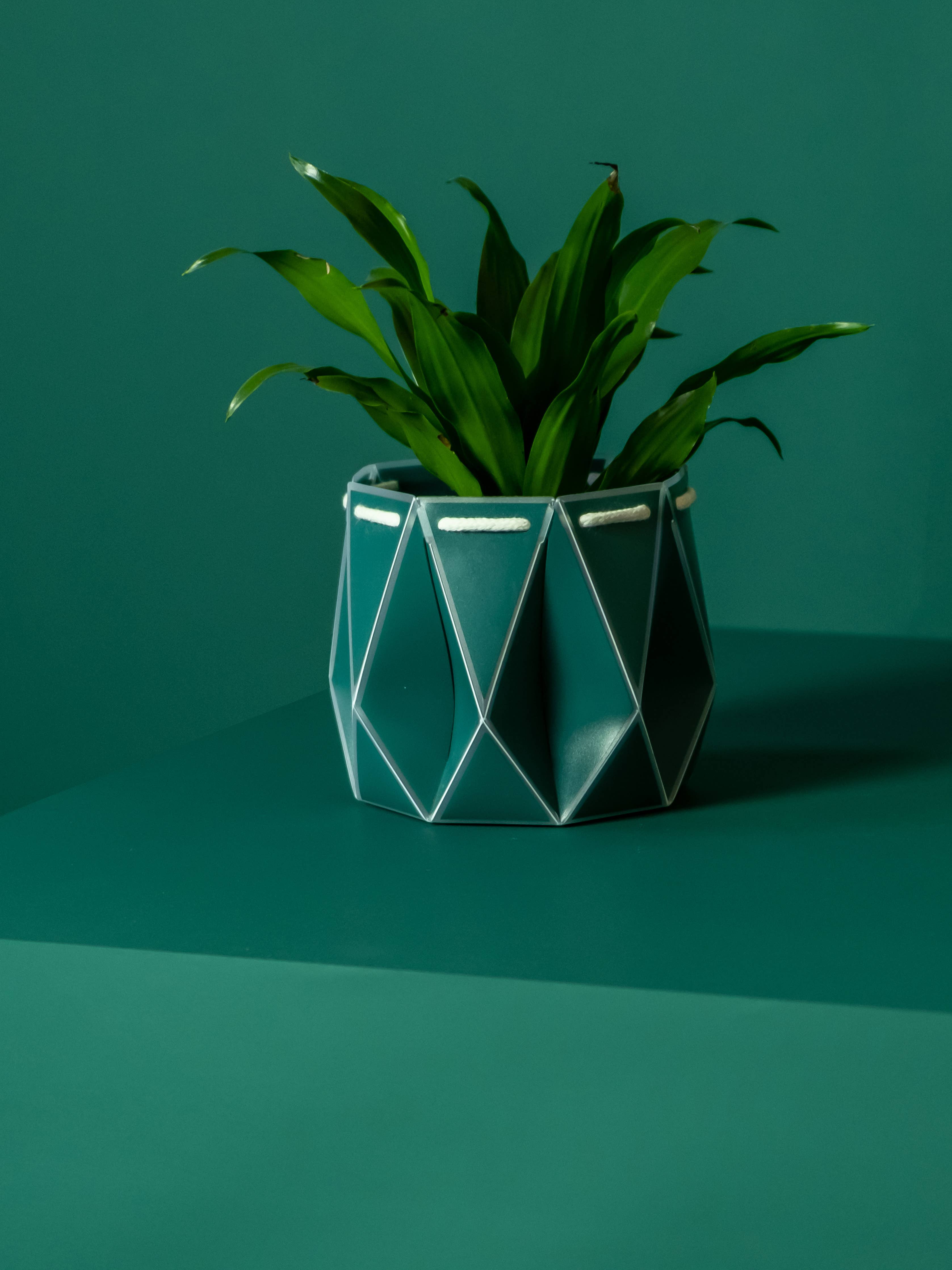 11cm Self-watering POTR | Dark Teal - Image 4