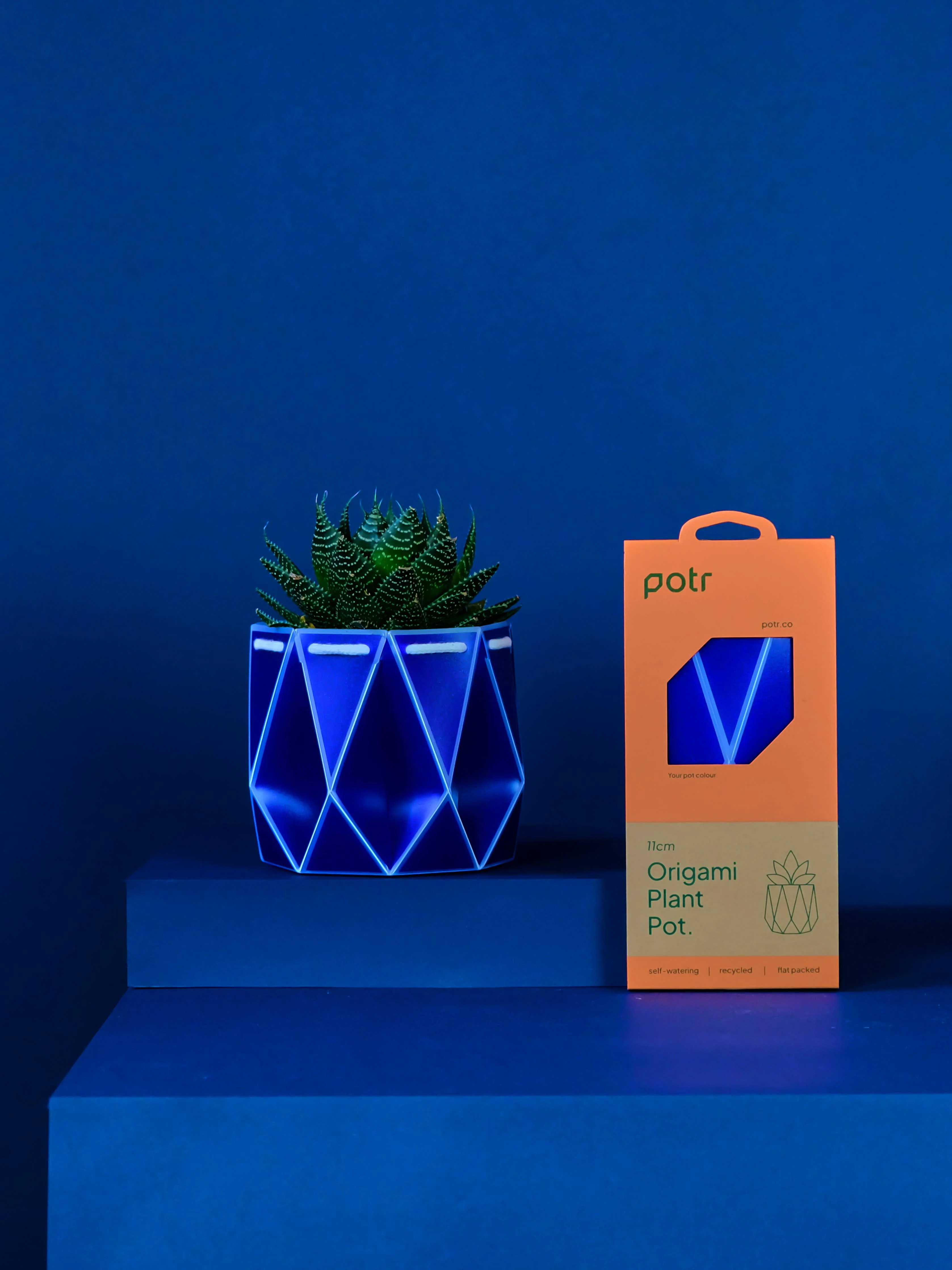 11cm Self-watering POTR | Navy Pot - Image 3