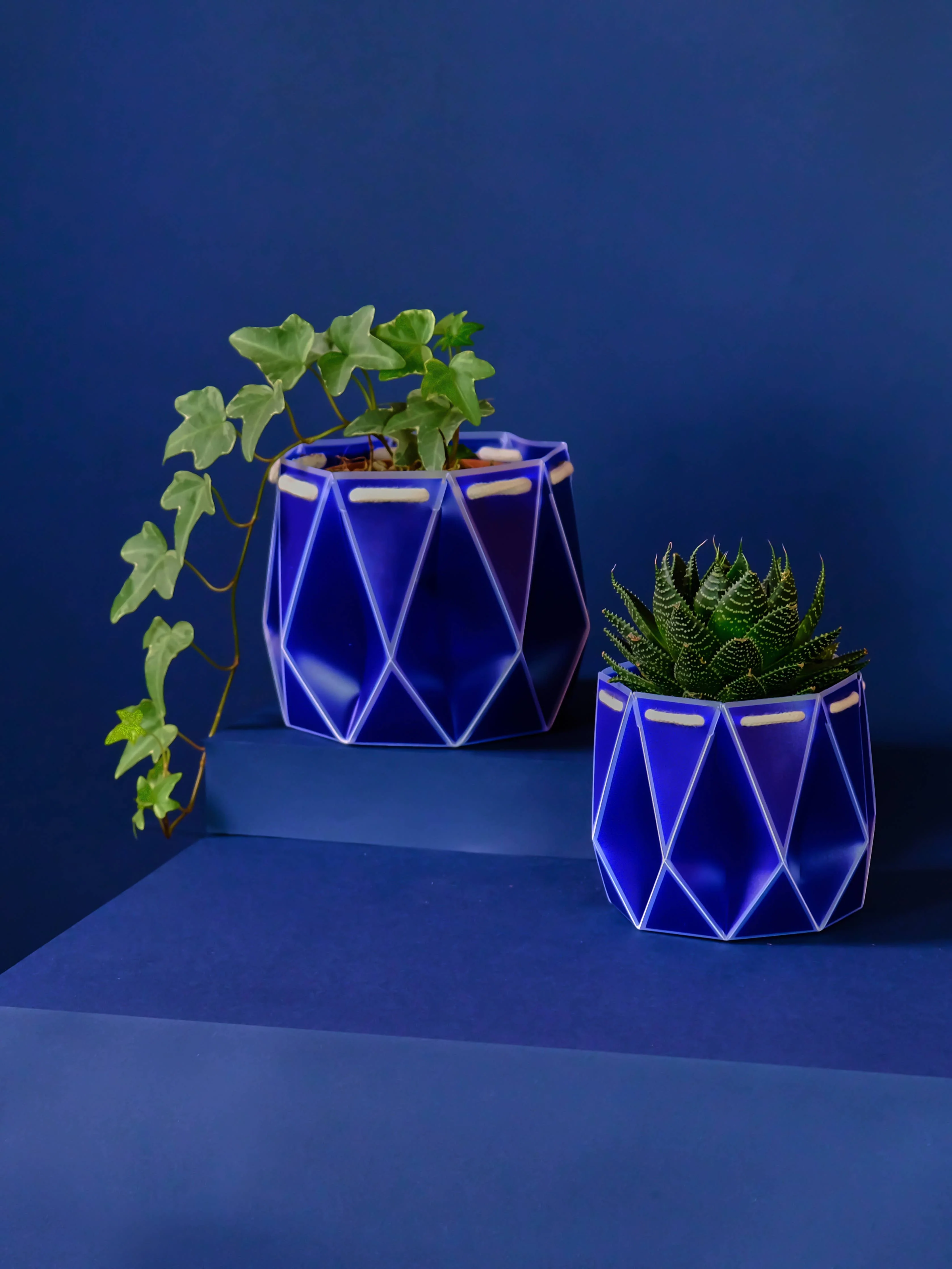 11cm Self-watering POTR | Navy Pot - Image 4