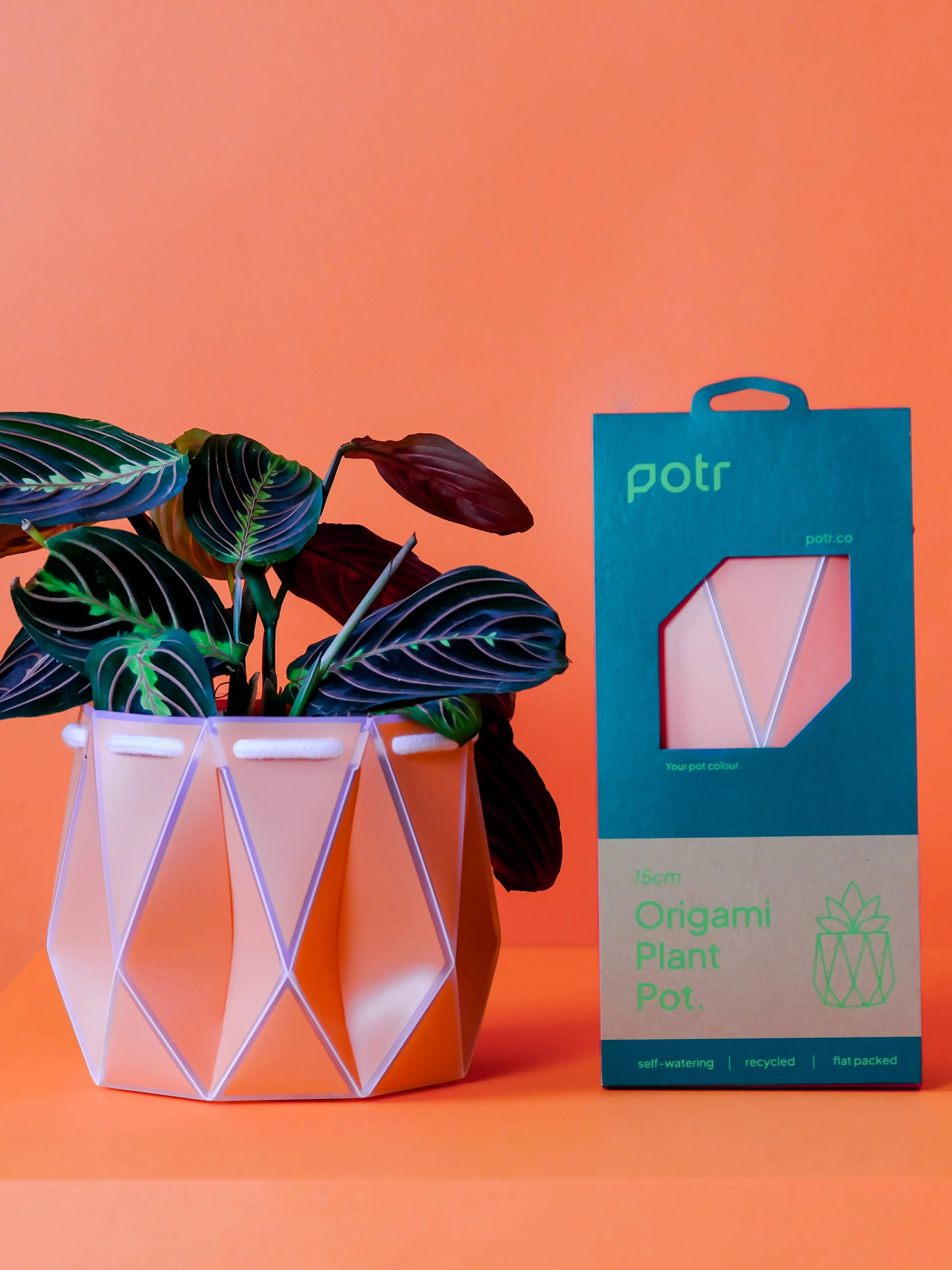 15cm Self-watering POTR | Coral Pot - Image 5