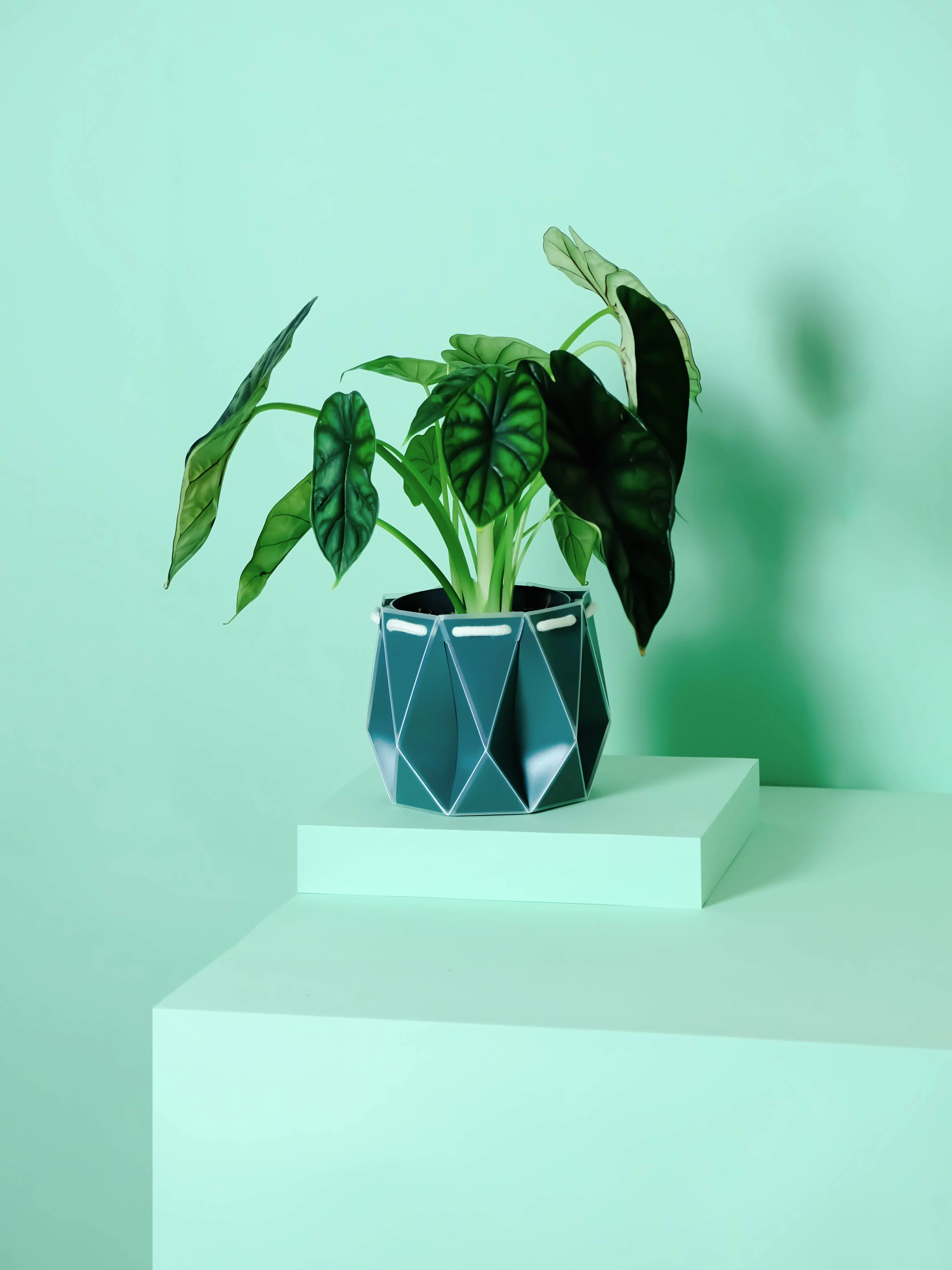 15cm Self-watering POTR | Dark Teal - Image 3