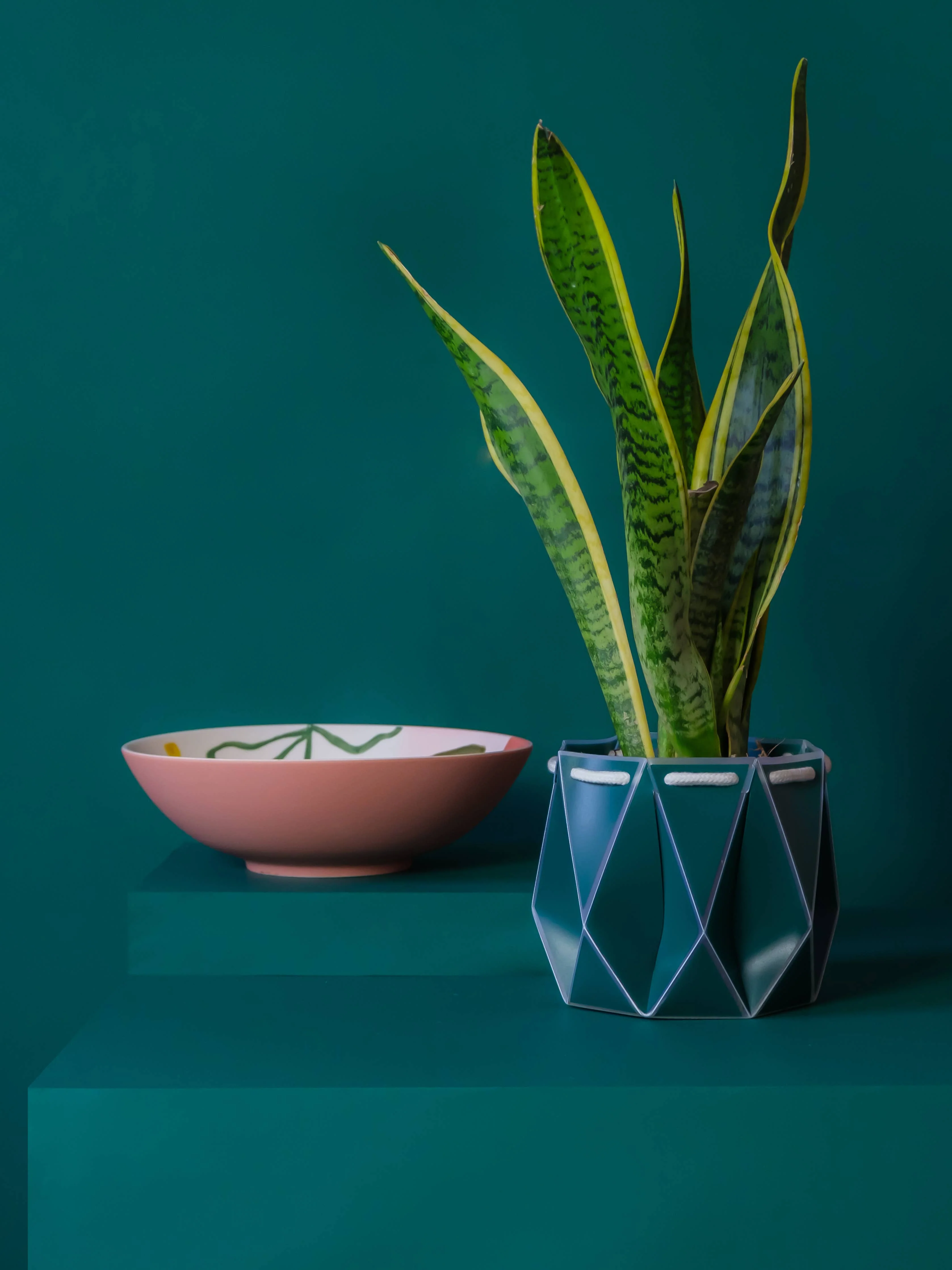 15cm Self-watering POTR | Dark Teal - Image 5
