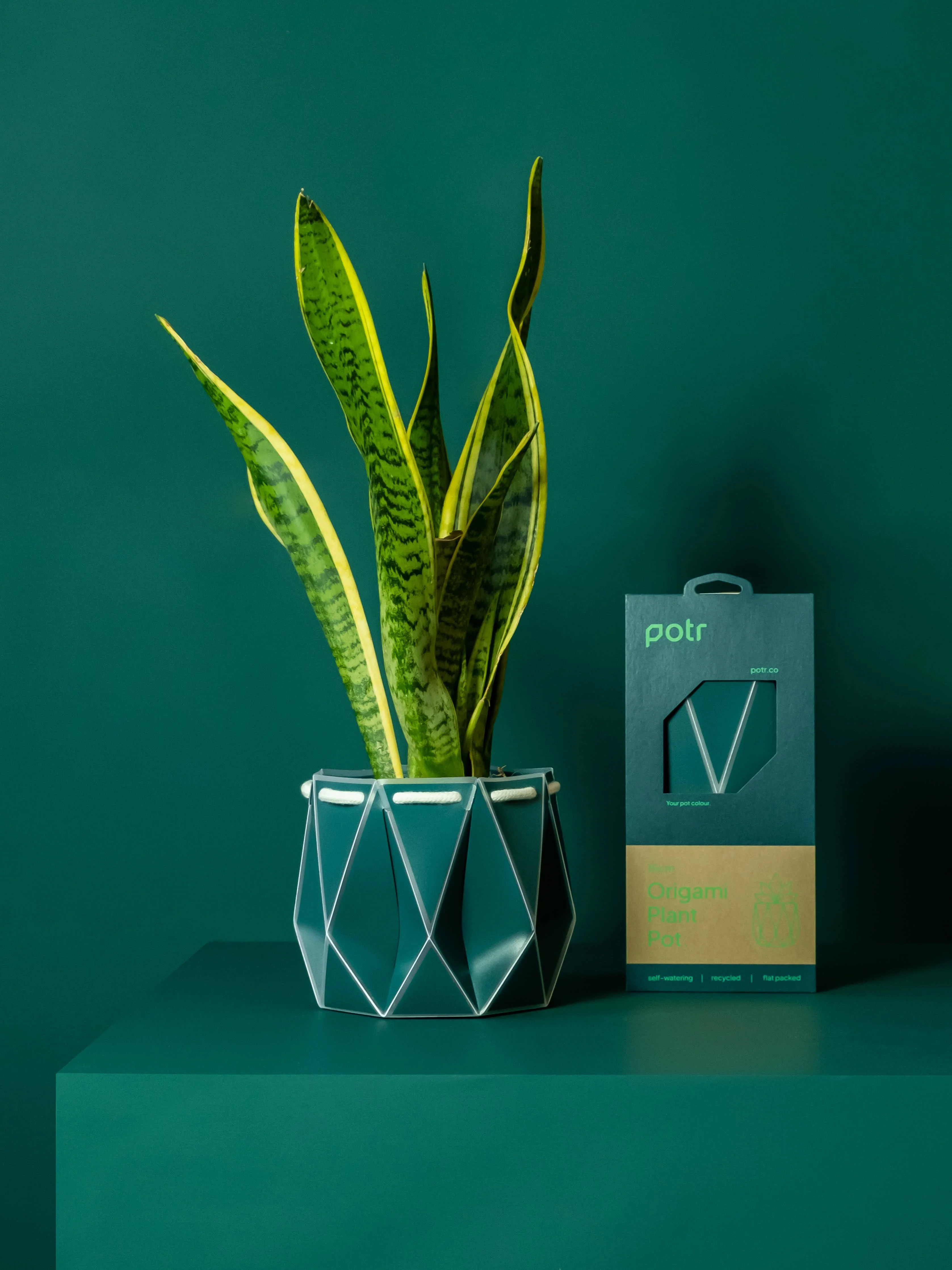 15cm Self-watering POTR | Dark Teal - Image 6