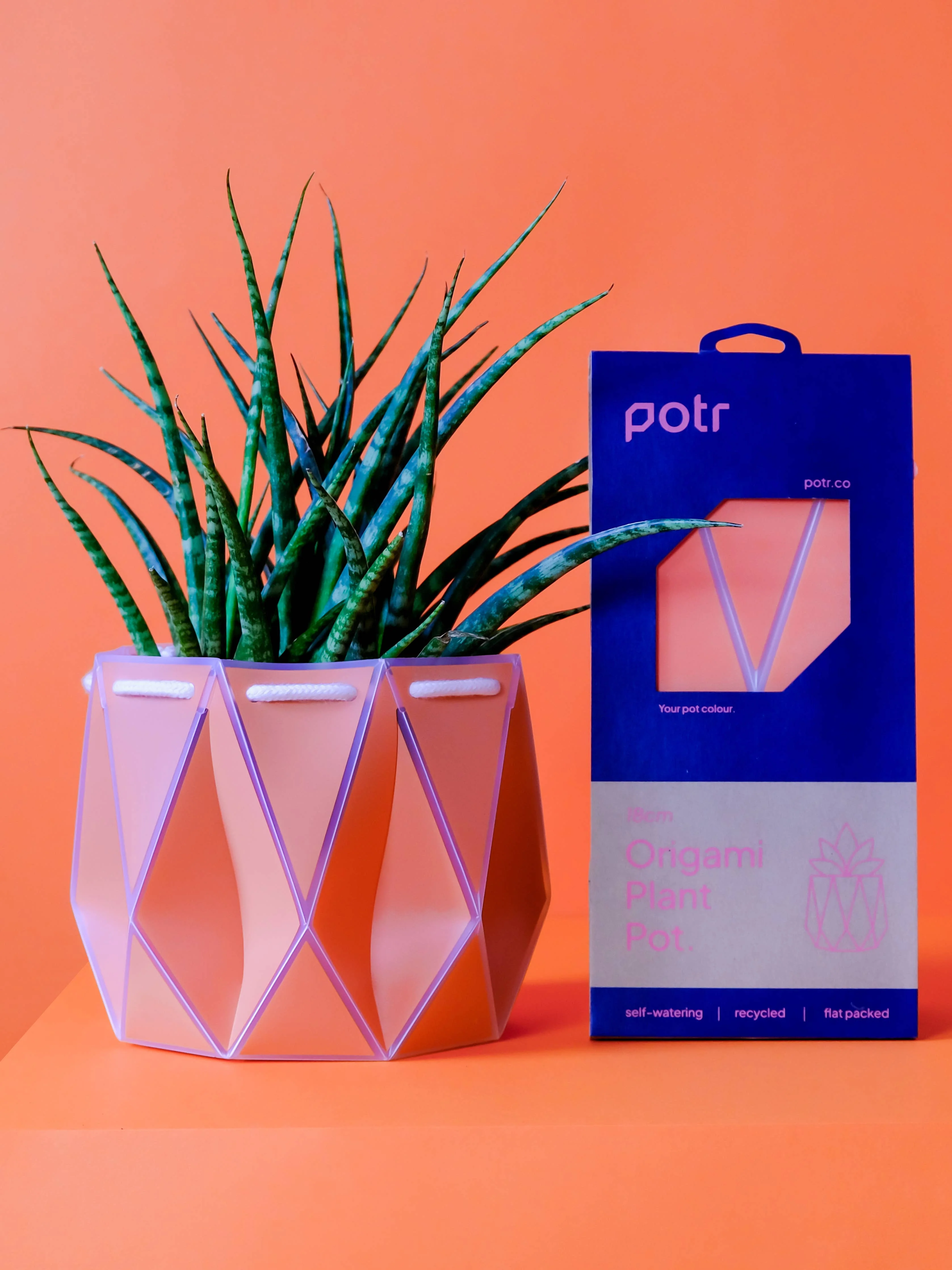 18cm Self-watering POTR | Coral - Image 3
