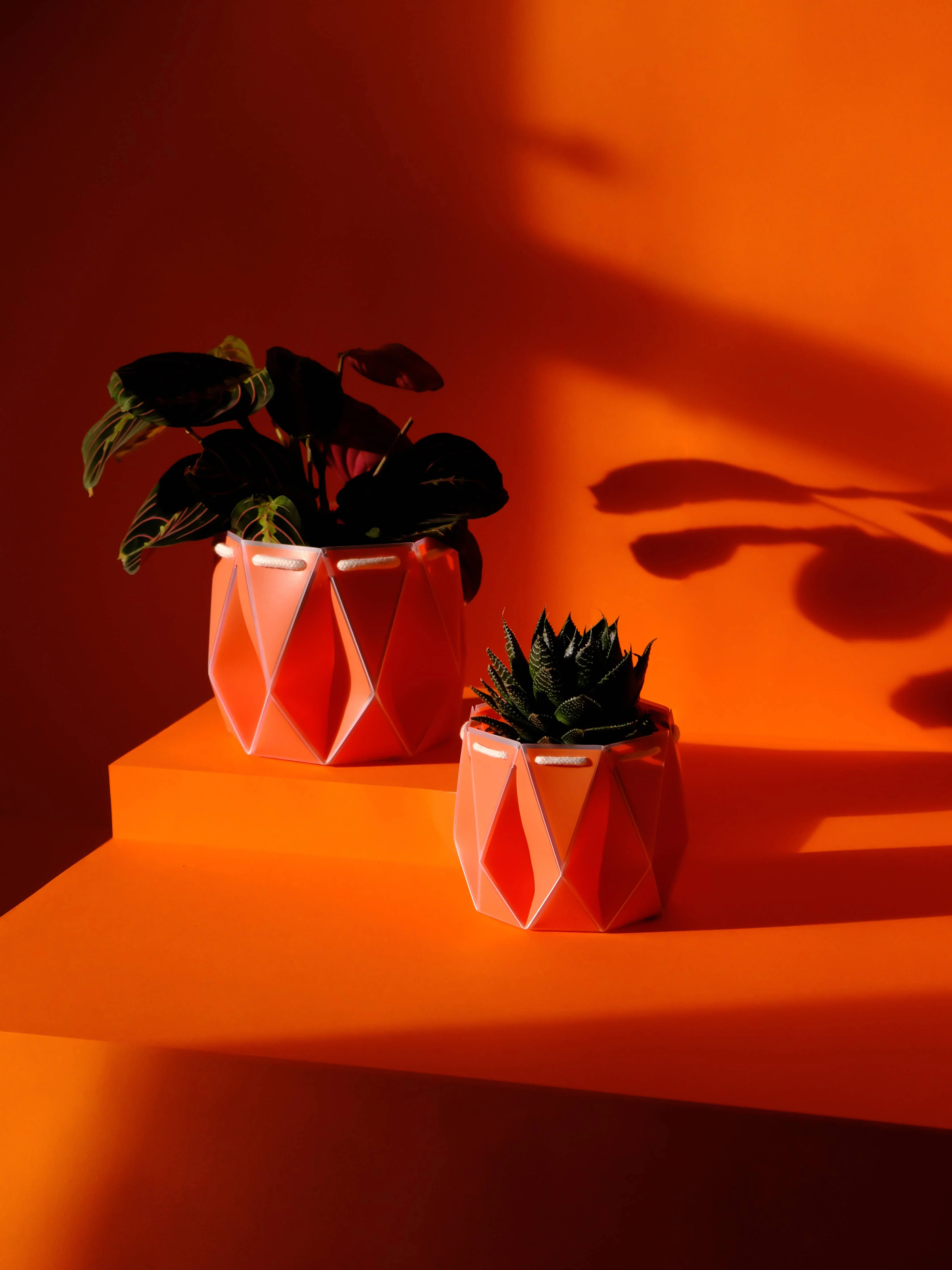 18cm Self-watering POTR | Coral - Image 5
