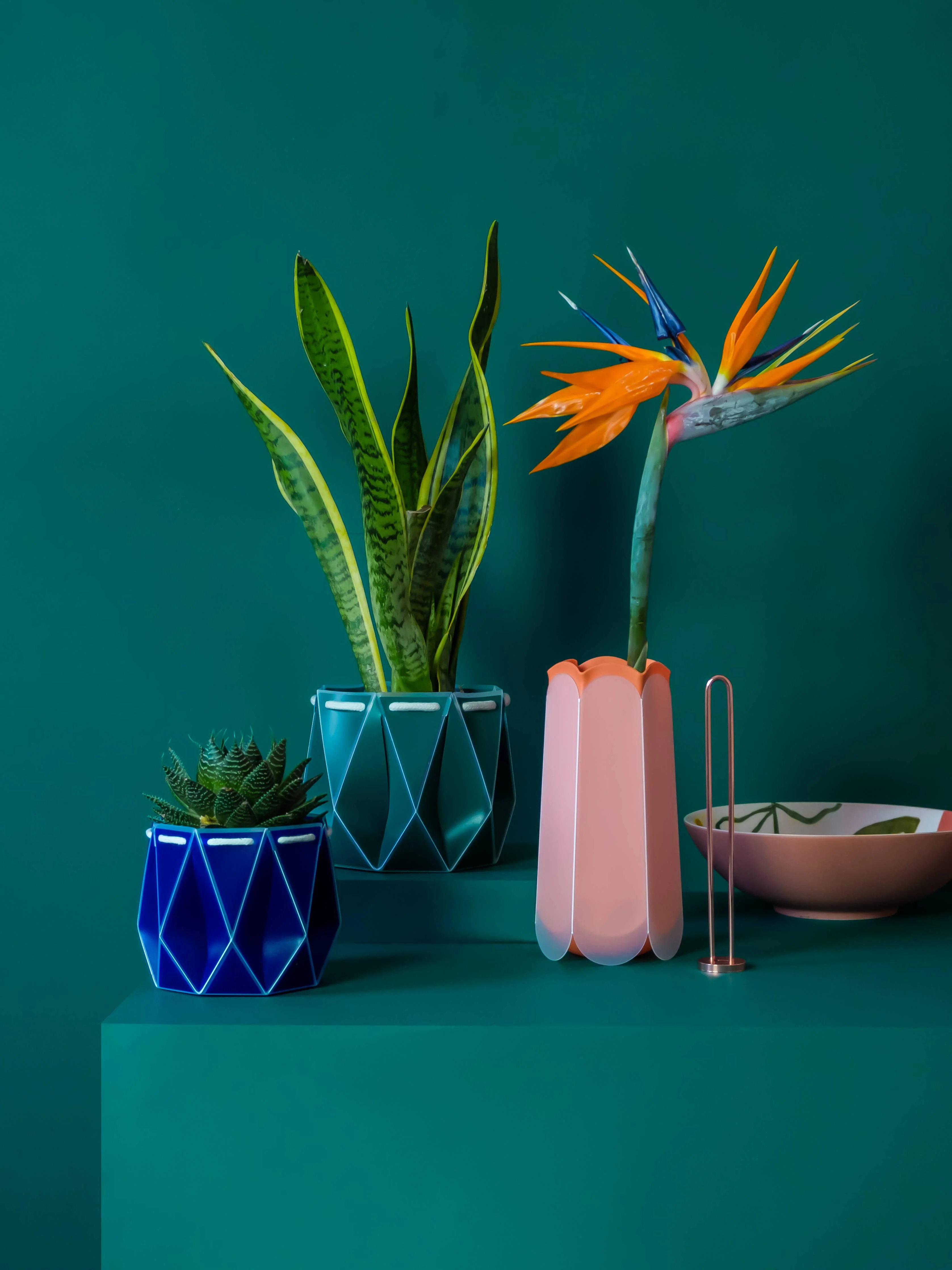 18cm Self-watering POTR | Dark Teal - Image 5