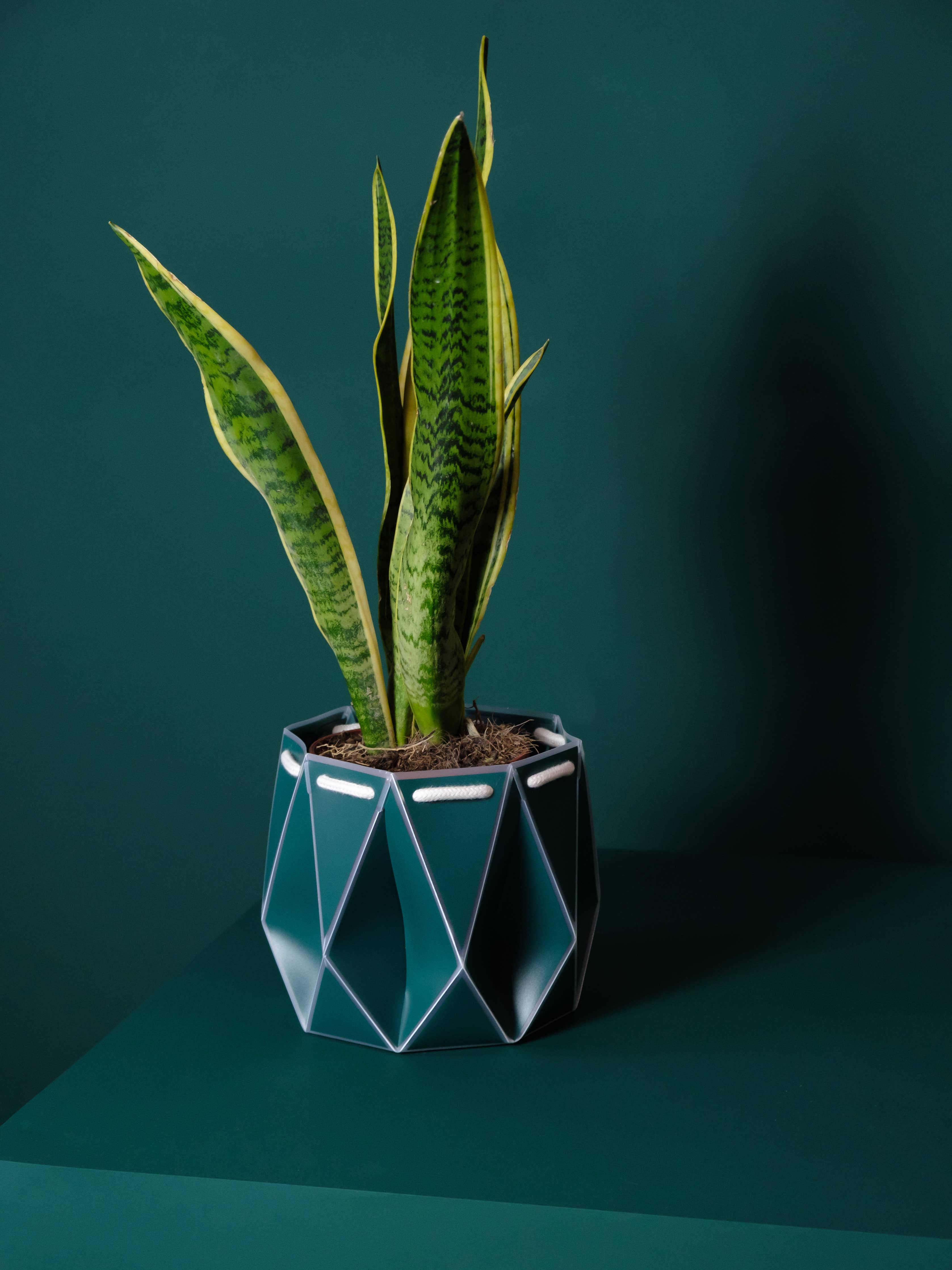 18cm Self-watering POTR | Dark Teal - Image 6