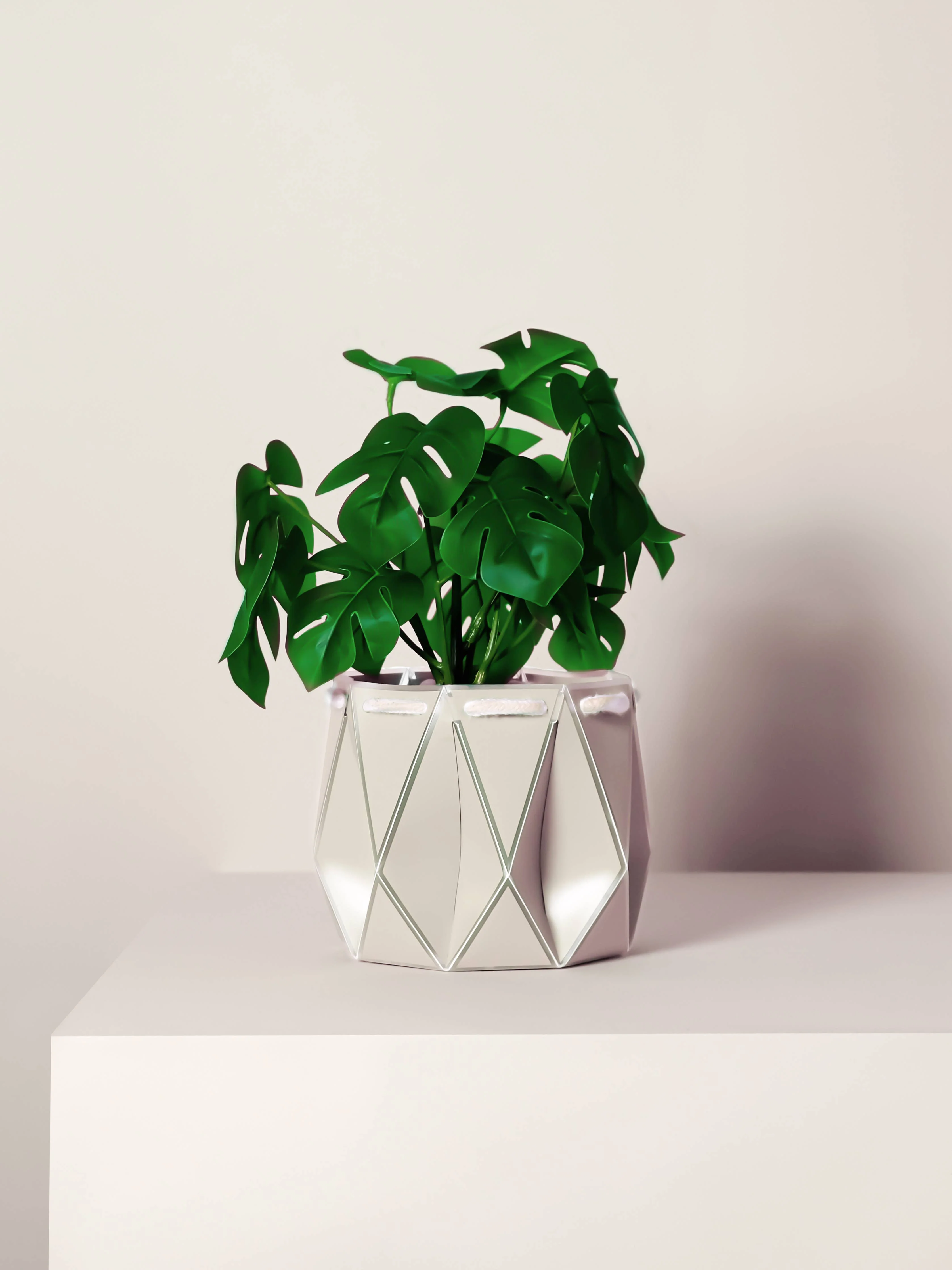 18cm Self-watering POTR | Ivory White - Image 3