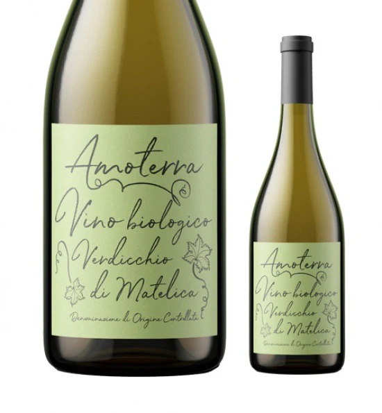 Amoterra Verdicchio di Matelica DOC, 13% ABV, 2022, 750ml