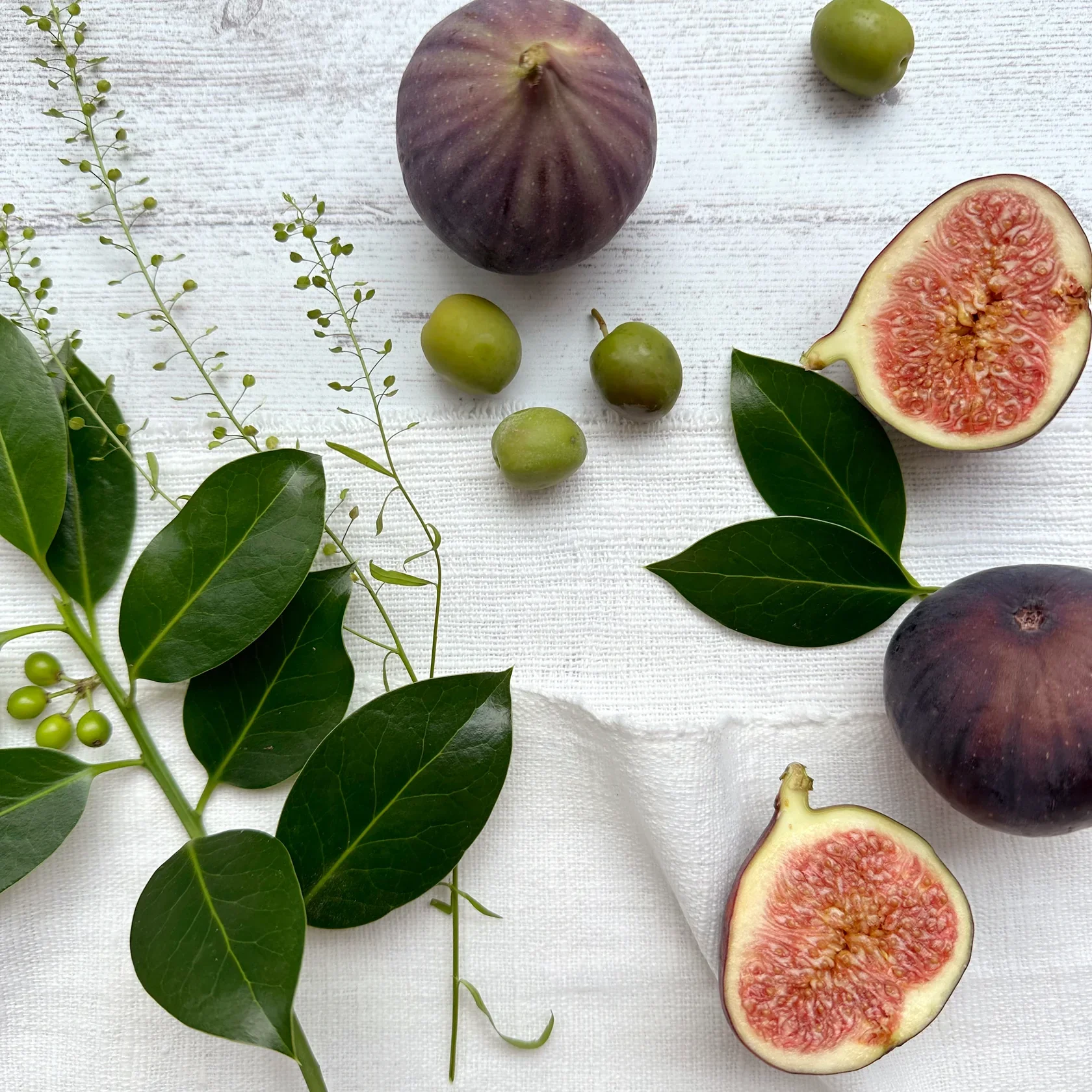 Mediterranean Fig+ Olive, Ivory Coffee Cup Candle, Pru. - Image 3