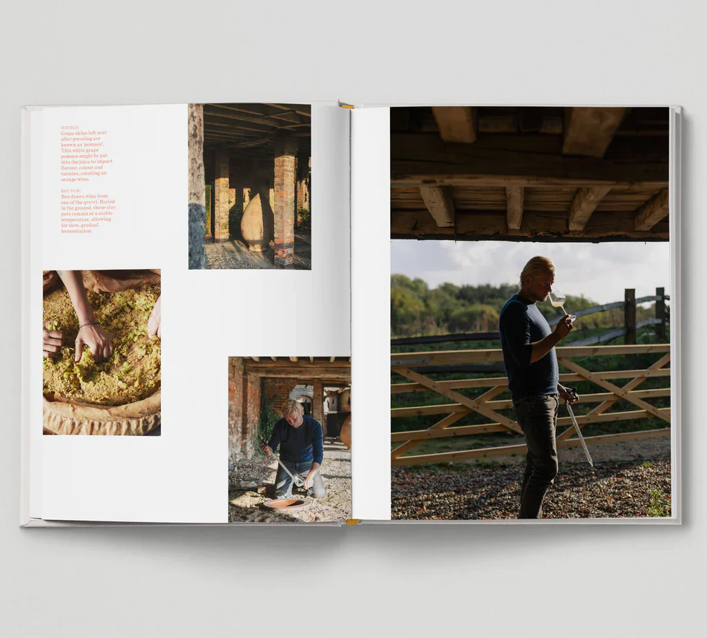 New British Wine - Image 12
