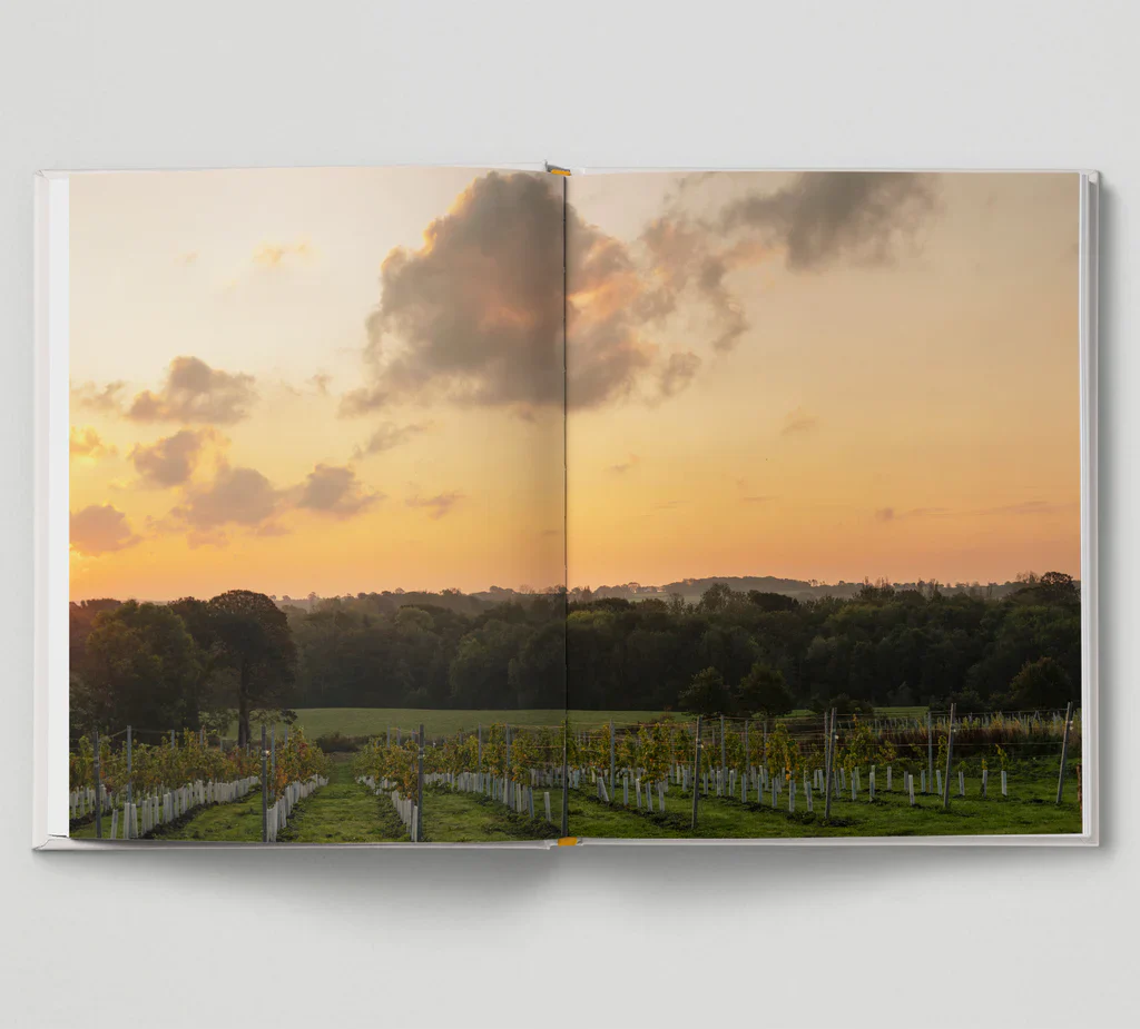 New British Wine - Image 13