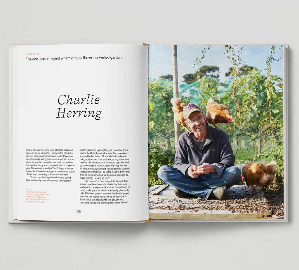 New British Wine - Image 6