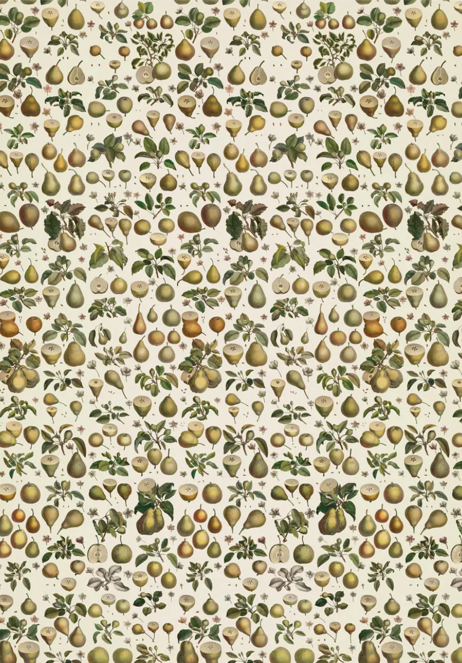 Pears Gift Wrap, The Pattern Book