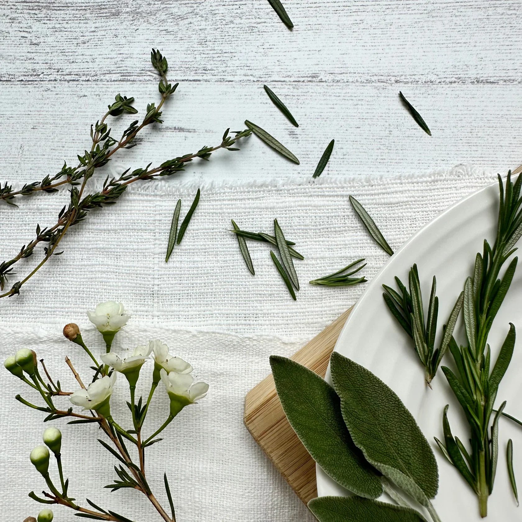 Rosemary Sage + Thyme, Ivory Coffee Cup Candle, Pru. - Image 3