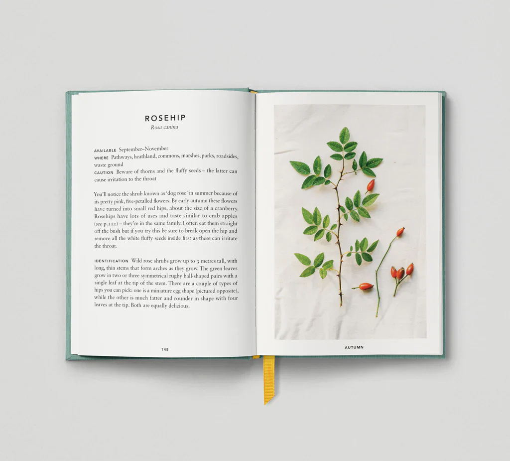 The Urban Forager - Image 10