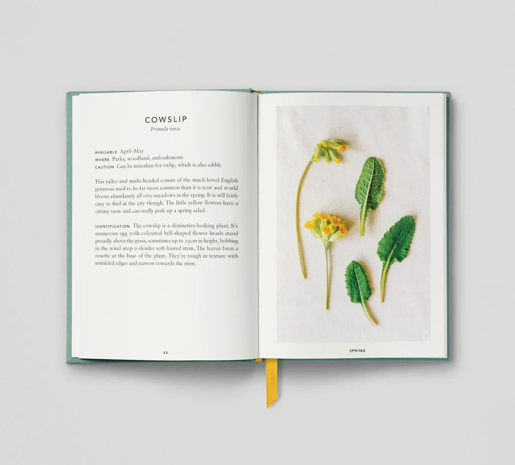 The Urban Forager - Image 3