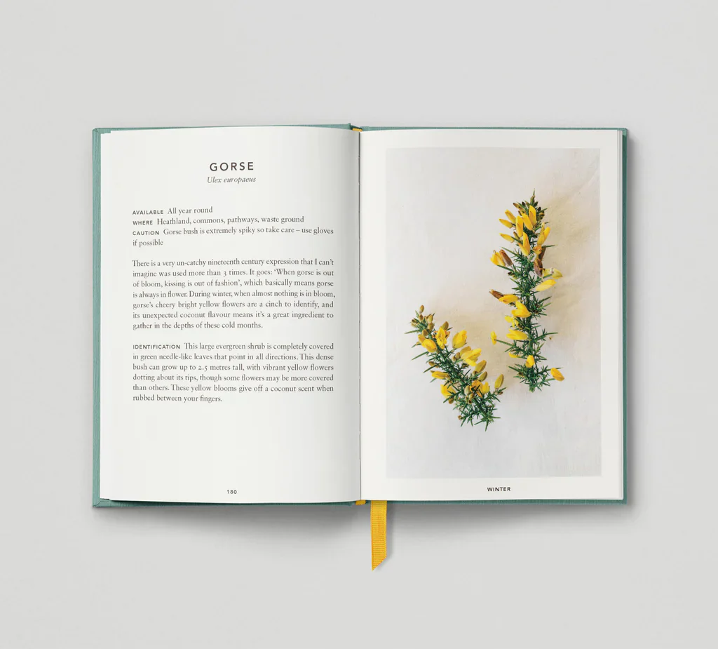 The Urban Forager - Image 6