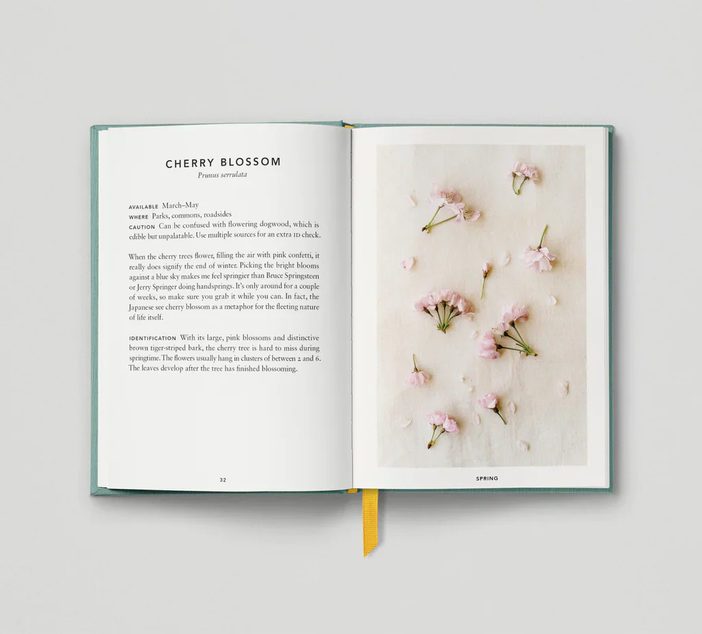The Urban Forager - Image 7