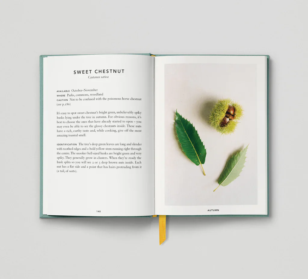 The Urban Forager - Image 9